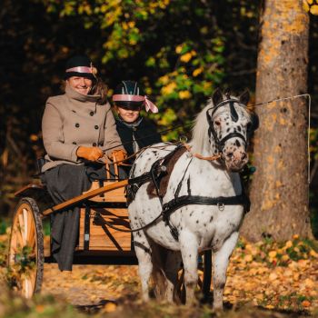 Taija-Tuulia Tammelin